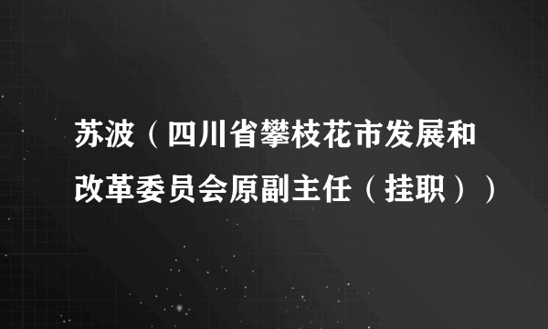 苏波（四川省攀枝花市发展和改革委员会原副主任（挂职））