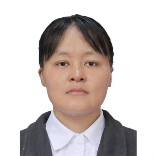 李玲（第十四届全国人大代表，云南省普洱市宁洱县磨黑镇芭蕉林村委会副主任）