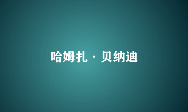 哈姆扎·贝纳迪