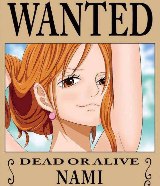 娜美（日本漫画《航海王》中的女主角）