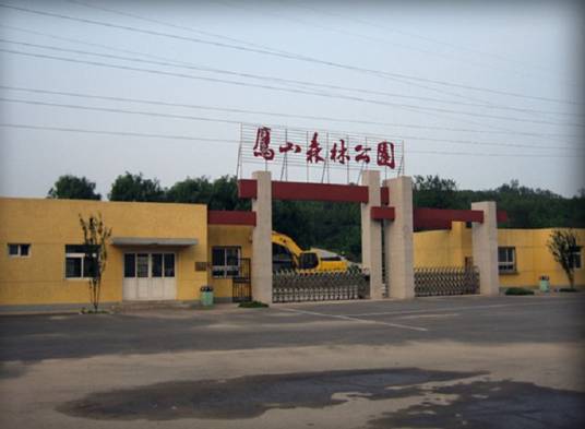 鹰山嘴森林公园