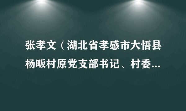 张孝文（湖北省孝感市大悟县杨畈村原党支部书记、村委会原主任）
