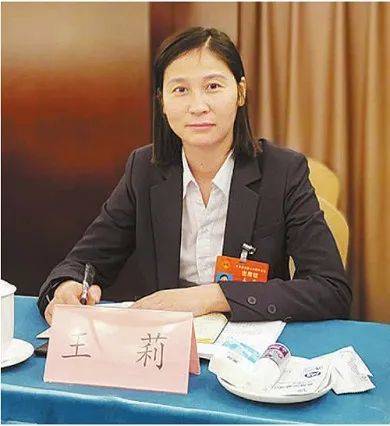 王莉（第十四届全国人大代表，湖北省襄阳市襄城区公厕清扫队队长）