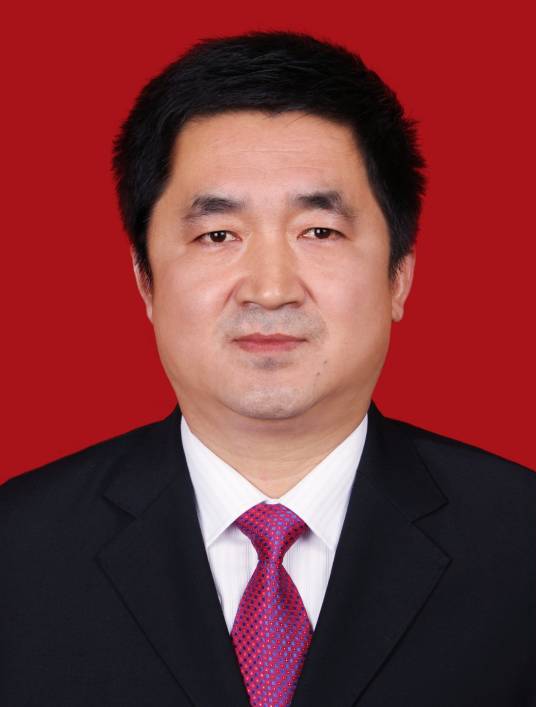 张锋（陕西省铜川市政府机关党组成员）