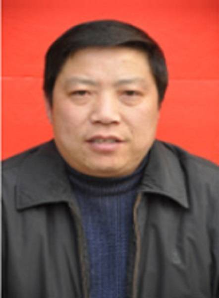 雷涛（河南省南阳市西峡县政府原党组成员、副县长）