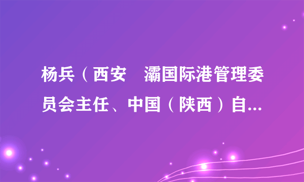 杨兵（西安浐灞国际港管理委员会主任、中国（陕西）自由贸易试验区西安国际港务区片区（直属）管理局局长（兼））