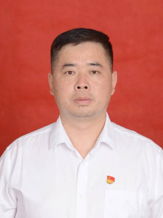 李登科（湖南省邵阳市新邵县潭府乡党委书记）