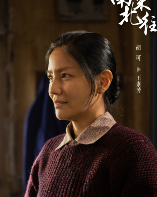 王素芳（电视剧《南来北往》中的女配角）