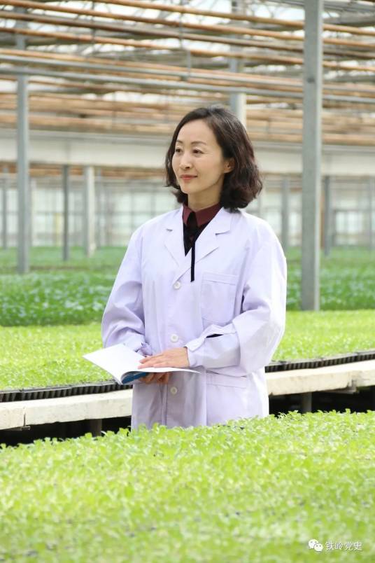 张艳（第十四届全国人大代表，辽宁省铁岭市农业科学院研究员）