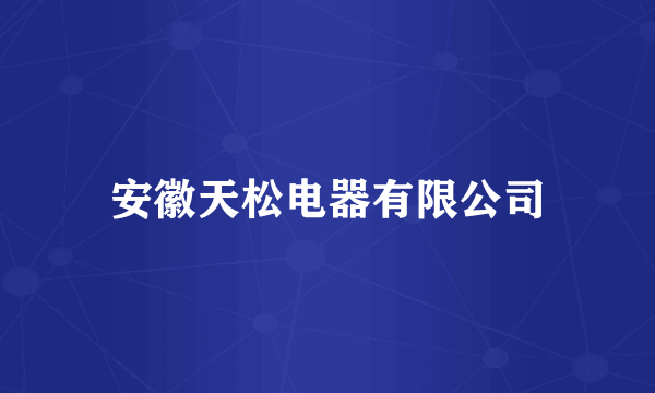 安徽天松电器有限公司