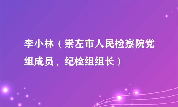 李小林(崇左市人民检察院党组成员、纪检组组长)