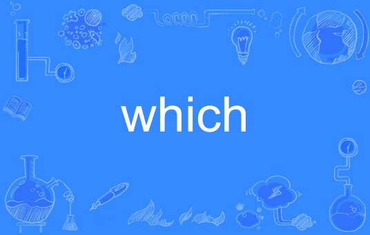 which（英语单词）