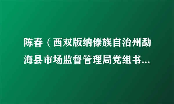 陈春（西双版纳傣族自治州勐海县市场监督管理局党组书记、局长，综合行政执法队队长）