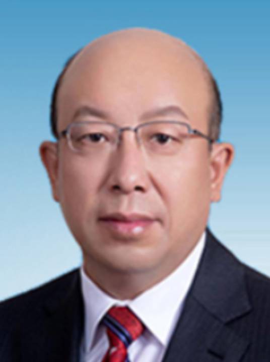 杨鹏（国家能源投资集团有限责任公司党组成员、副总经理）