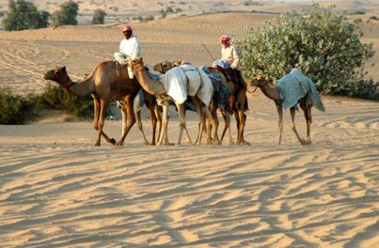 伊朗国家沙漠公园