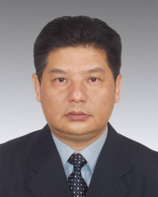 林刚（重庆市大渡口区委宣传部原部长）