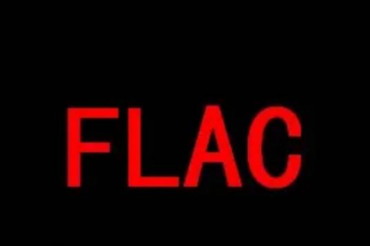 无损音频压缩编码