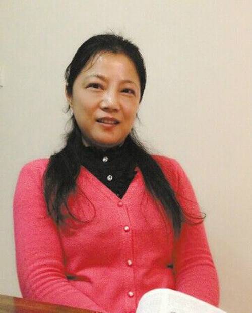 高文（湖南工业大学教授）