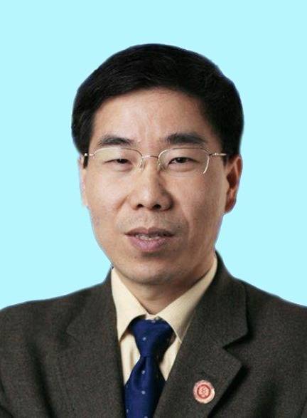 徐卫林（中国工程院院士，武汉纺织大学党委副书记、校长）