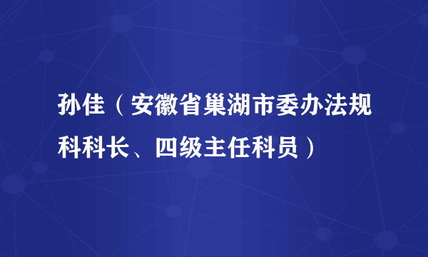 孙佳（安徽省巢湖市委办法规科科长、四级主任科员）
