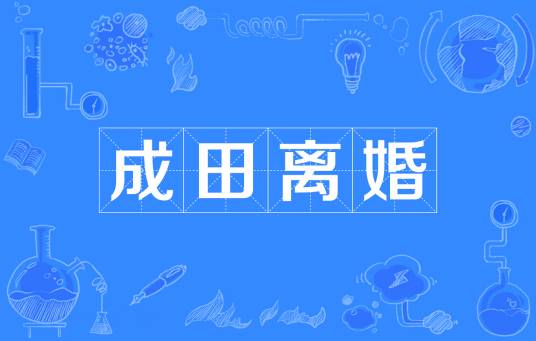 成田离婚（日本社会现象）