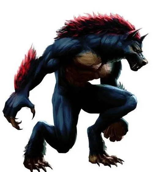 狼人（《恶魔城》系列中的怪物）