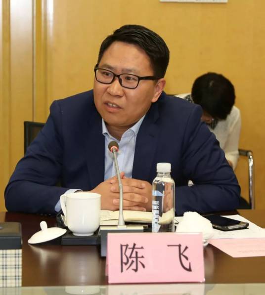 陈飞（*ST中南原董事长）