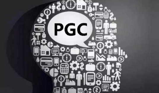 PGC（专业生产内容）