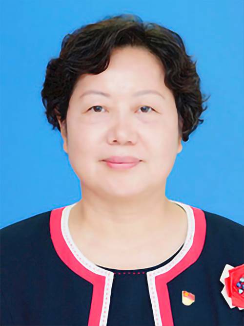 周琳（第十四届全国人大代表，广东省人民医院党委书记）