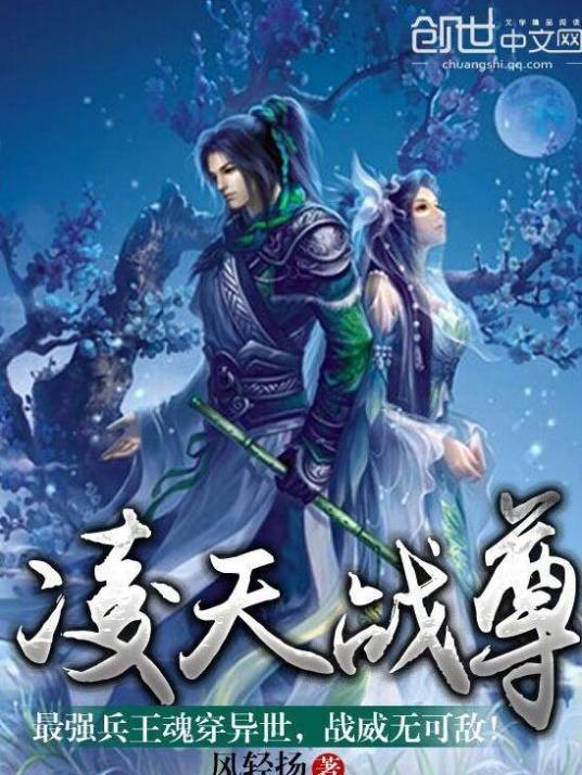 凌天战尊（风轻扬创作的玄幻类网络小说）