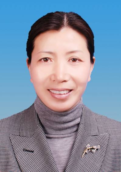 李红霞（内黄县人民政府副县长）