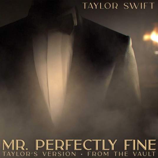 Mr. Perfectly Fine