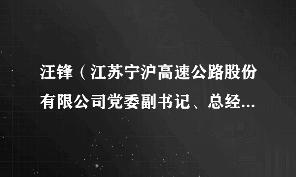 汪锋（江苏宁沪高速公路股份有限公司党委副书记、总经理、执行董事）