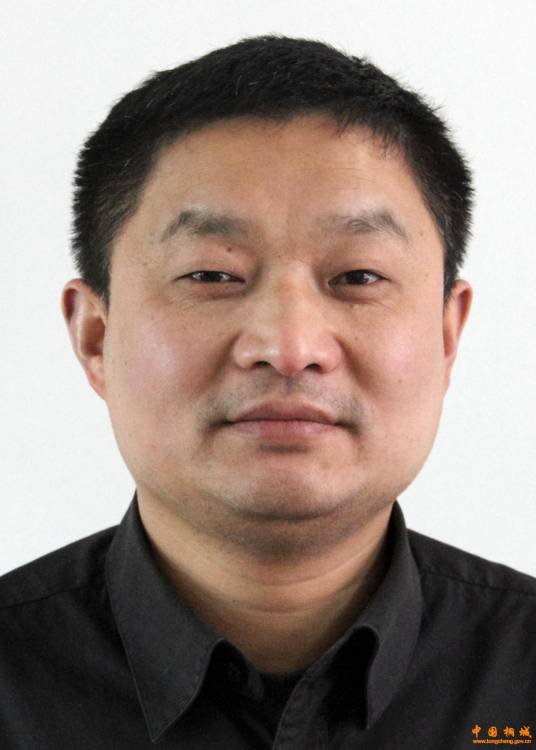 程东红（安徽省桐城市教育局党委委员、市政府教育督导委员会办公室督学、四级主任科员）