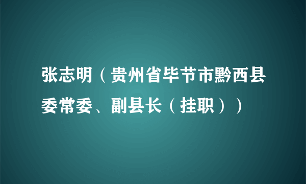 张志明（贵州省毕节市黔西县委常委、副县长（挂职））