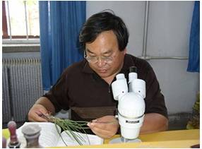 张勇（甘肃农业大学硕士生导师）