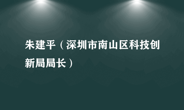 朱建平（深圳市南山区科技创新局局长）