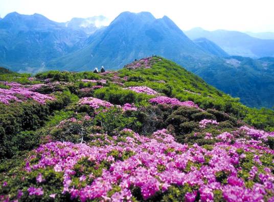 云雾山（古代山脉）