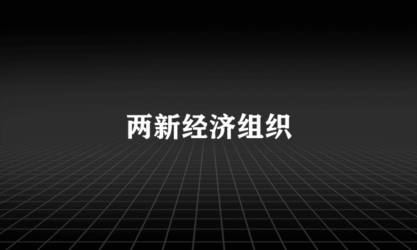 两新经济组织