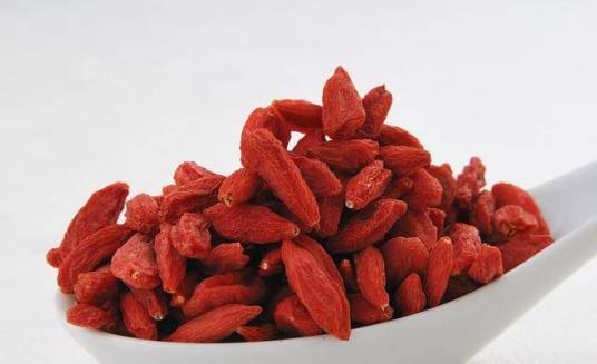 枸杞（茄科枸杞属植物）