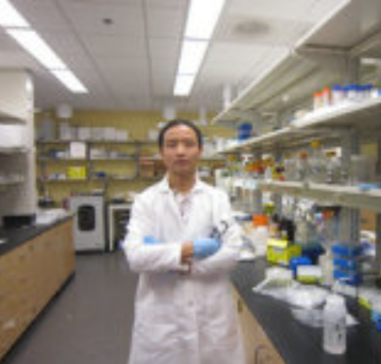 徐勇（南京林业大学化工学院副院长）