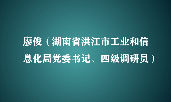 廖俊（湖南省洪江市工业和信息化局党委书记、四级调研员）