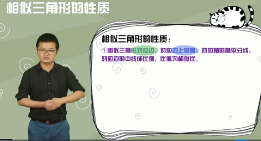 相似三角形的性质