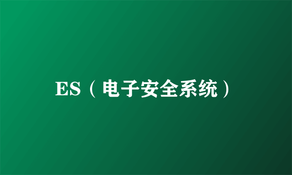 ES（电子安全系统）
