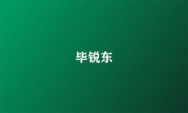 毕锐东