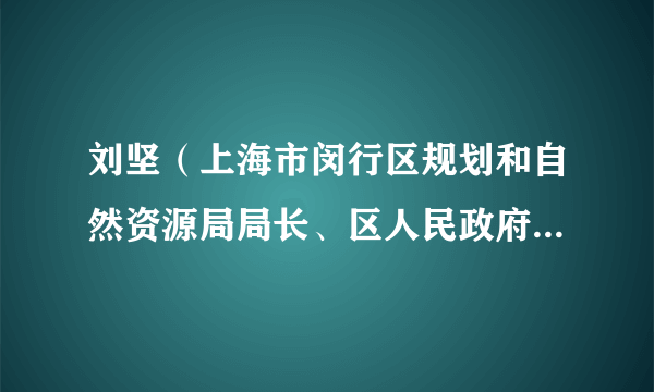 刘坚（上海市闵行区规划和自然资源局局长、区人民政府办公室主任）