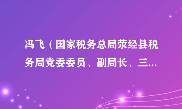 冯飞（国家税务总局荥经县税务局党委委员、副局长、三级主办）