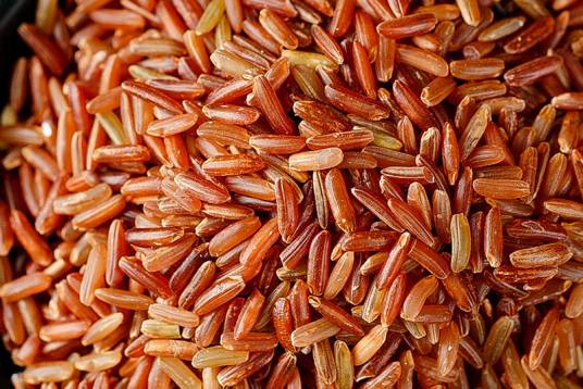 红米（禾本科稻属植物）