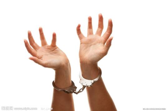 犯罪心理（罪犯心理现象）