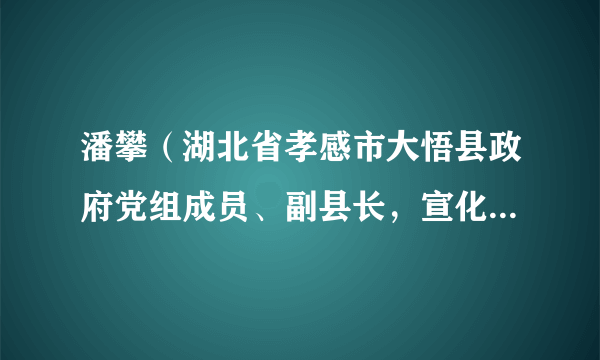 潘攀（湖北省孝感市大悟县政府党组成员、副县长，宣化店镇党委书记）